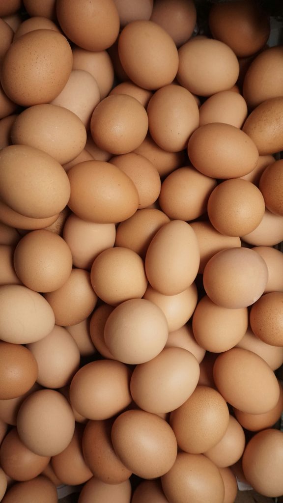 Salmonella and the Governance Gap