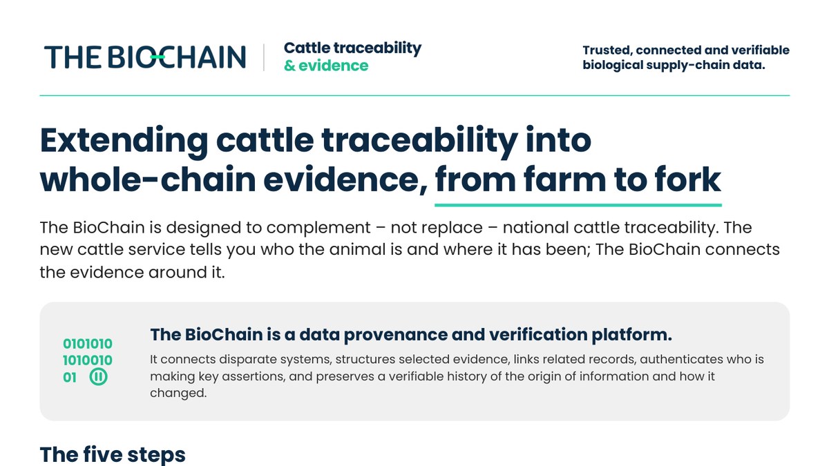 Cattle Traceability & Evidence — Sector Brief